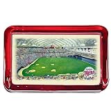 Eglomise Minnesota Twins Colorprint Paperweight