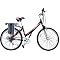 Electric Bicycling on a budget