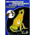 Der Schreckliche Pfeilgiftfrosch: Phyllobates terribilis