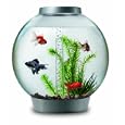 biOrb 30 litre aquarium with light - Silver'
