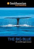 The Big Blue