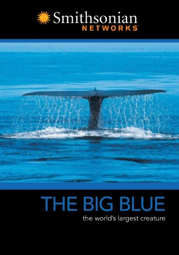 The Big Blue