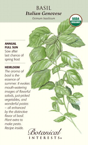 Genovese Italian Basil Seeds - 1.5 grams - Organic Herb Genovese Italian Basil Seeds - 1.5 grams - Organic Herb