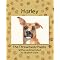 Animal Books with Heart