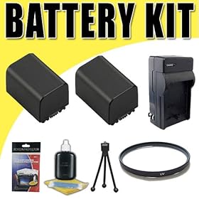 Two NPFV100 Lithium Ion Replacement Batteries w/Charger for Sony HDRCX550V HDRCX360V HDRCX570V HDRCX700V HDRPJ10 HDRPJ30V HDRPJ50V HDRXR550V DCRSX45 DCRSX65 DCRSX85 Handycam Camcorders DavisMAX 37mm Filter Kit Bundle