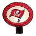 Tampa Bay Buccnaeers Art Glass Night Light