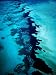 Aerial of Coral Formations, Shark Bay, Australia Photographic Poster Print by Richard I'Anson, 12x16