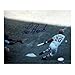 Steiner Sports MLB Lou Brock Bunting Horizontal Autographed 8-by-10-Inch Photograph