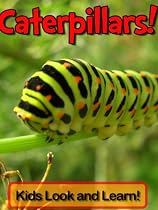 Caterpillars! Learn About Caterpillars and Enjoy Colorful Pictures - Look and Learn! -From Free Kindle Books Library