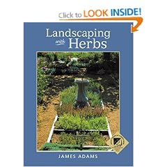 Landscaping with Herbs