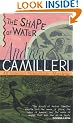 The Shape of Water (Montalbano 1)