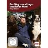 Der Weg zum alltagstauglichen Hund mit Holger Sch�ler