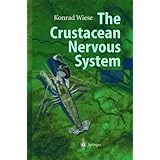 The Crustacean Nervous System