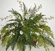 Silk Fern and Oncidium Orchid Planter Arrangement