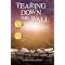 Traumatic Brain Injury Survivor Stories