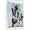 cool books - beautiful and smart