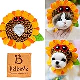 Bro'Bear Pet Funny Sunflower Hat with Glasses Design for Small Dogs & Cats Party Costume Headwear Orange (Large)