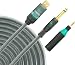 Lightsnake Stusbg10 Lightsnake Usb Instrument Cable
