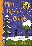 Eira oer a gwlyb