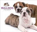 Bulldog Deluxe 2010 Square Wall ARTLIST (Multilingual Edition)
