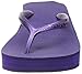 Havaianas Women's High Fashion Flip Flop