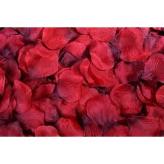 400 rote Rosenbl�ten Rosenbl�tter Streublumen Hochzeit Deko Valentinstag Fasching