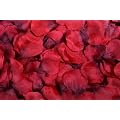 400 rote Rosenbl�ten Rosenbl�tter Streublumen Hochzeit Deko Valentinstag Fasching