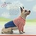 Seamless Knits for Posh Pups