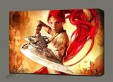 PS3 HEAVENLY SWORD GALLERY WRAP STYLE ARTWORK 28X20