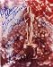 Academy Award Winners autographed 8x10 Photo by Kevin Spacey, Rita Moreno, Ellen Burstyn, Joel Grey, Kim Hunter, Judi Dench, & Estelle Parsons