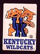 Kentucky Wildcats Light Switch Cover (single)