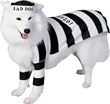 This item last updated: Nov 08, 2010