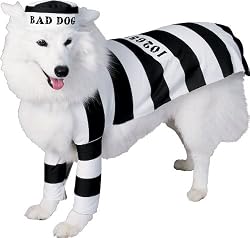 Prisoner Medium Dog Pet Costume