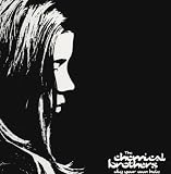 Dig Your Own Hole [VINYL]