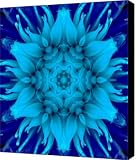 Surreal Flower No. 5 Canvas Print / Canvas Art   Artist Andre Giovina