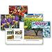 Delta Education 1321182 Seasons Library (Set of 4 Titles)