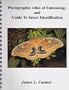 Photographic Atlas of Entomology & Guide to Insect Identification