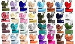 Lauren Solid Color Stunning Pashmina Scarf/Wrap