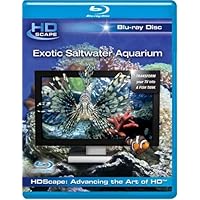 Exotic Saltwater Aquarium  (2007)