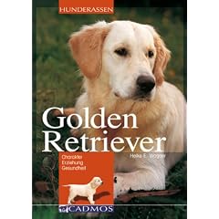 Golden Retriever: Charakter - Erziehung - Gesundheit