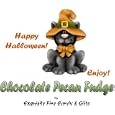 Spooky Kitty Halloween Chocolate Pecan Fudge Box