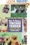 Guide to Owning a Yorkshire Terrier (Popular Dog Library)