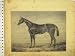 C1840 馬の詐称者の勝者ギニーは Newmarket を杭で囲います