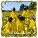 1 Oz Yellow Coneflower (Ratibida pinnata) Bulk Wildflower Seeds