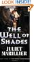 The Well of Shades (Bridei Trilogy)