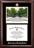 University of South Florida Gold Embossed Diploma Frame with Lithograph