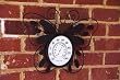 Butterfly Wall Thermometer Butterfly Wall Thermometer