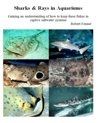 Sharks & Rays in Aquariums: Gaining an understanding of how to keep these fishes in captive saltwater systems (Aquarium Success) (Volume 3)