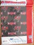 NFL Tampa Bay Buccaneers Book Cover