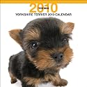 Yorkshire Terrier (Bt Artlist) 2010 Wall
